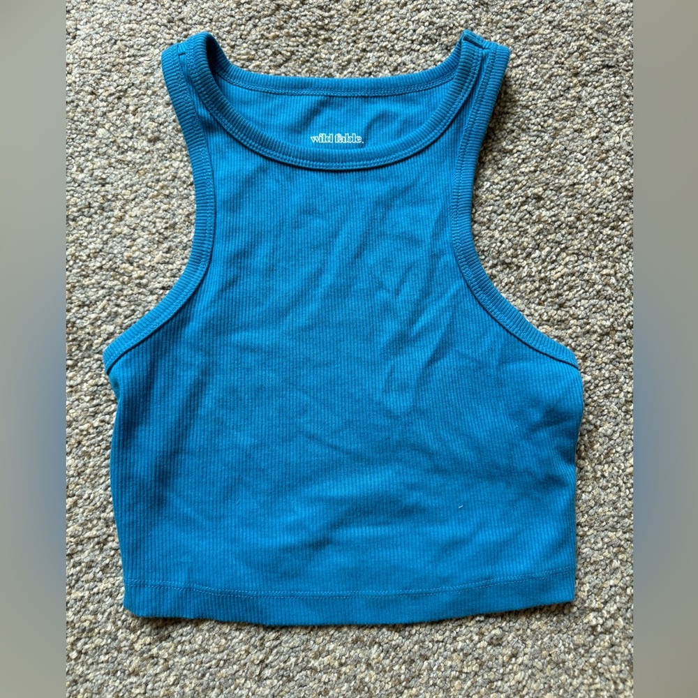 Wild fable blue crop top
